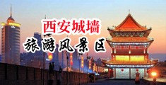 暴草老师喷白浆中国陕西-西安城墙旅游风景区