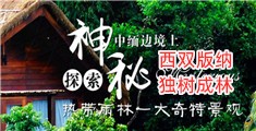 操鸡巴操逼视频完整版