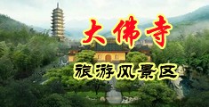 女生被操叫网站中国浙江-新昌大佛寺旅游风景区